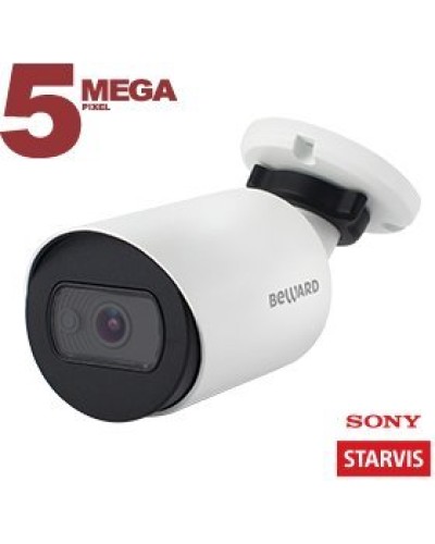 SV3212RC (3.6мм). Видеокамера IP цилиндрическая. Beward в Астрахани