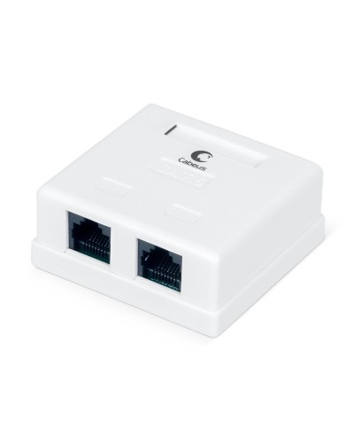 WS-8P8C-Cat.6-2 (7482c): Розетка RJ-45 в Астрахани