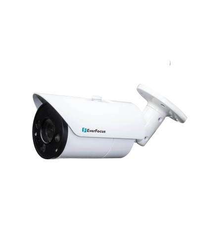 EZN-268V. Видеокамера IP купольная. EverFocus в Астрахани