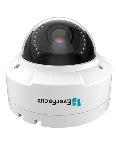EHN-1250. Видеокамера IP купольная. EverFocus в Астрахани