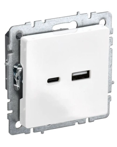 Розетка USB A+C 18Вт РЮ11-1-БрБ белый BRITE (BR-U22-018-K01). Розетка USB. IEK в Астрахани