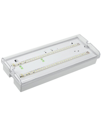 Светильник аварийный ДПА 5042-3 3ч IP65 LIGHTING (LDPA0-5042-3-65-K01). Светильник аварийный универсальный. IEK в Астрахани