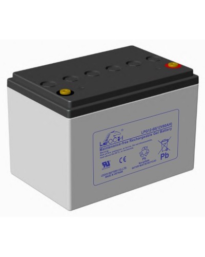 LEOCH LPG 12-60. Аккумулятор герметичный свинцово-кислотный. LEOCH в Астрахани