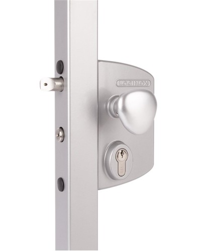 LIKQ4040 U2L (цвет: RAL 9005, черный). Замок электромеханический для калиток. Locinox в Астрахани