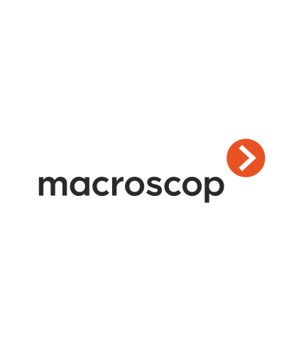 Расширение с LS до ST. Программное обеспечение (опция). MACROSCOP в Астрахани