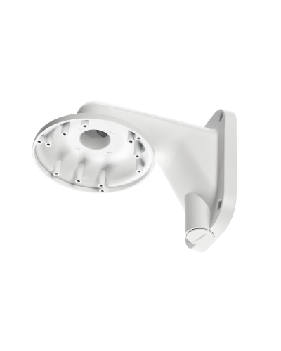 RVi-1BWM-5 white. Кронштейн настенный. RVi в Астрахани