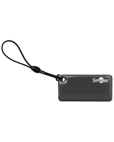 ST-PT015MF-GR. Брелок. Smartec в Астрахани