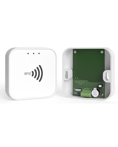 RFID-TM. Считыватель RFID. Ритм в Астрахани